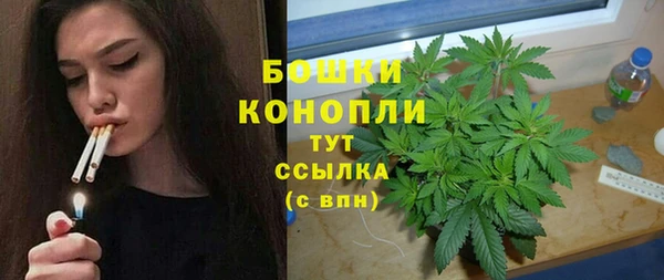 мдпв Волоколамск