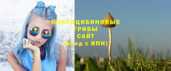 мдпв Волоколамск